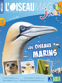 Couverture de l'OISEAU MAG JUNIOR n°7